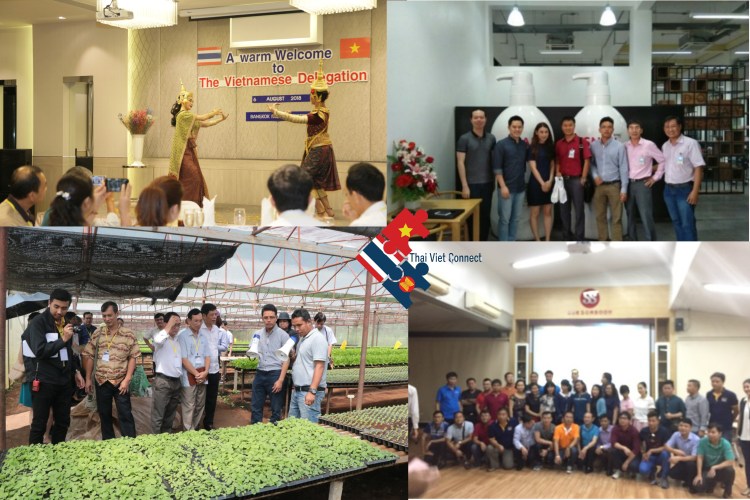 GIỚI THIỆU VỀ&nbsp;TVC